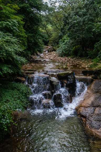 Die Natur im Nationalpark