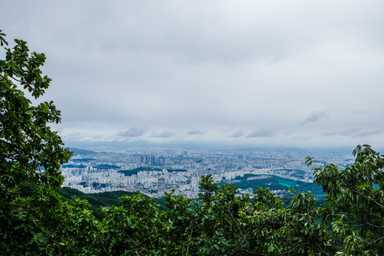 Die Aussicht auf Seoul durch die Bäume